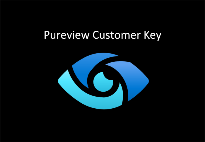 What is Microsoft Purview Customer Key?